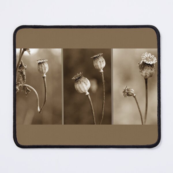Item preview, Sleepy Heads Triptych designed and sold by cuprum.