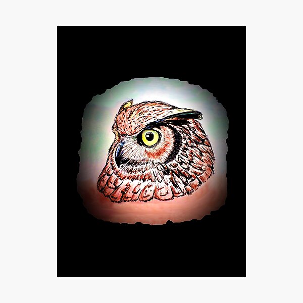 Owl Photographic Print