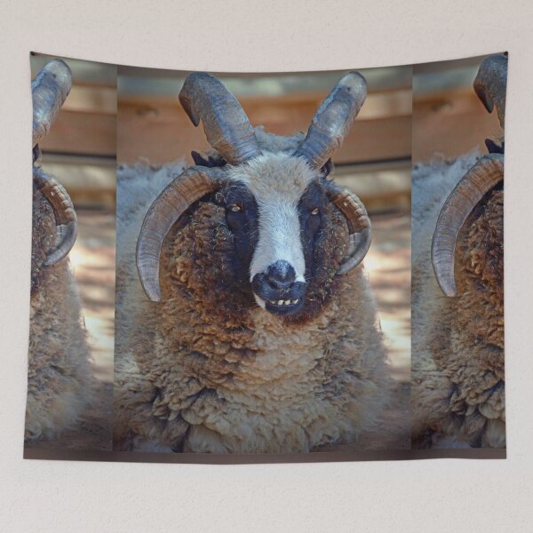Item preview, Sheep designed and sold by Savannah Gibbs.