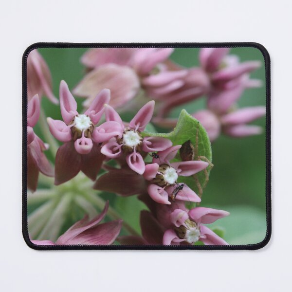 Item preview, Designer Flower designed and sold by cuprum.