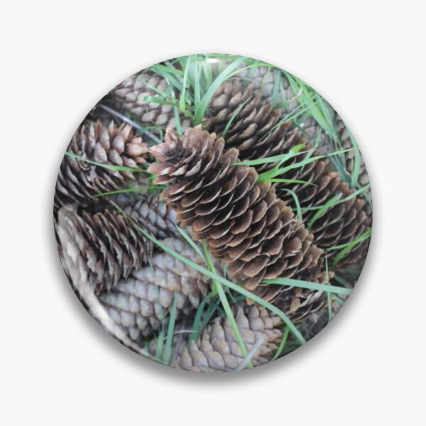 Item preview, Pine Cones Norway Spruce Evergreen Tree designed and sold by JariHawk.