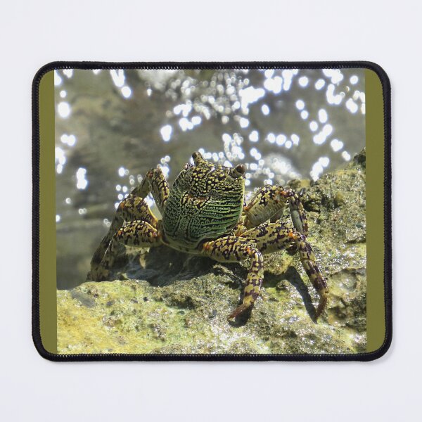 Item preview, Mottled Lightfoot Crab  designed and sold by Linda Walsh.
