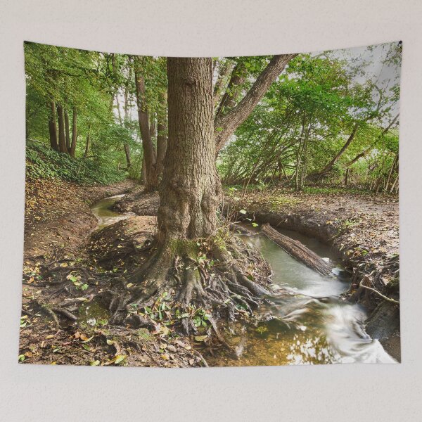 Item preview, Cuckoo Wood  designed and sold by Dave Godden.