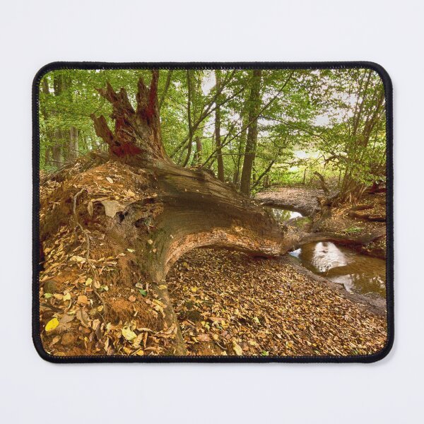 Item preview, Cuckoo Wood designed and sold by Dave Godden.