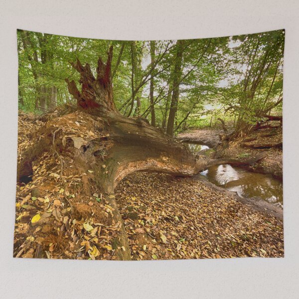 Item preview, Cuckoo Wood  designed and sold by Dave Godden.