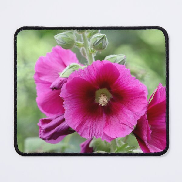 Item preview, Hollyhock designed and sold by cuprum.
