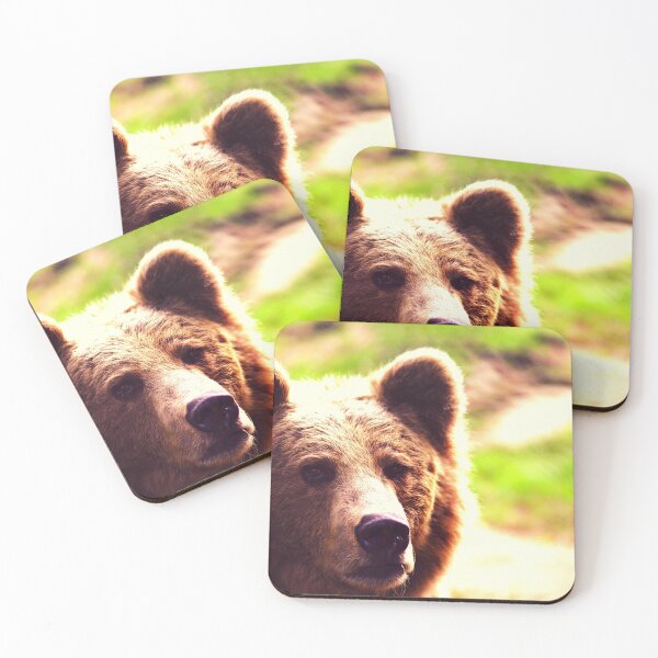 Item preview, bear photo with high resolution quality designed and sold by Allyouneed-2.