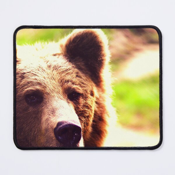 Item preview, bear photo with high resolution quality designed and sold by Allyouneed-2.