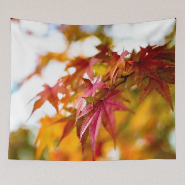 Item preview, Photography - Japanese fall  designed and sold by Karolien Kenis.