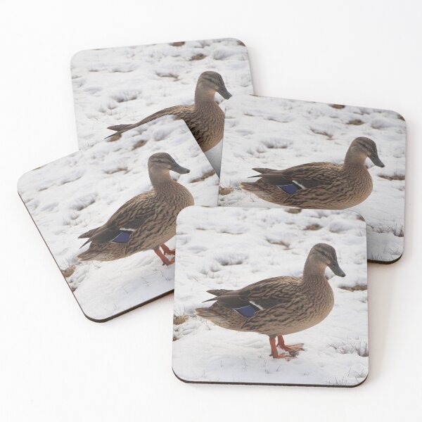 Item preview, Standing Female Mallard Duck on the Snow in Winter designed and sold by JariHawk.