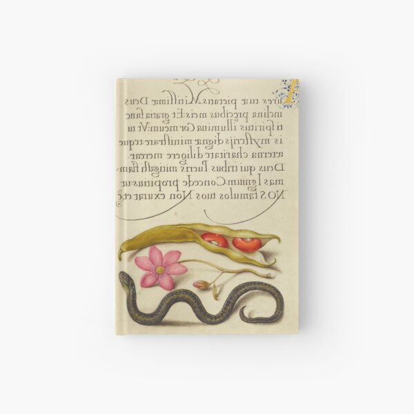 Item preview, Naturalist Manuscript: Flowers, Animal, Vegetables and Calligraphy Illumination - Kidney Bean, Poppy Anemone, and Adder by Joris Hoefnagel designed and sold by Naturalist Prints.
