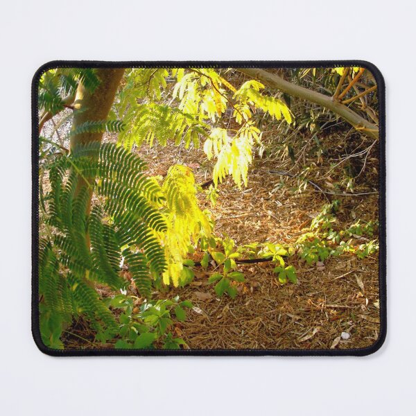 Vista previa del artículo con la obra «Hojas de mimosa», diseñado y vendido por Shulie1.