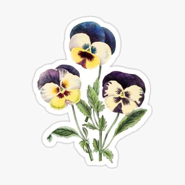 Herbarium sticker   – PLANTS HAPPY