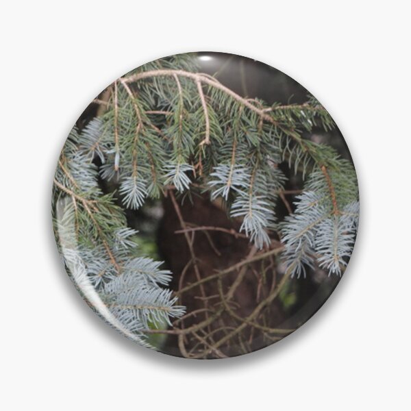 Item preview, Curvy Branch of a Colorado Blue Spruce Tree designed and sold by JariHawk.