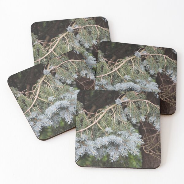 Item preview, Curvy Branch of a Colorado Blue Spruce Tree designed and sold by JariHawk.
