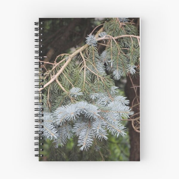 Item preview, Curvy Branch of a Colorado Blue Spruce Tree designed and sold by JariHawk.