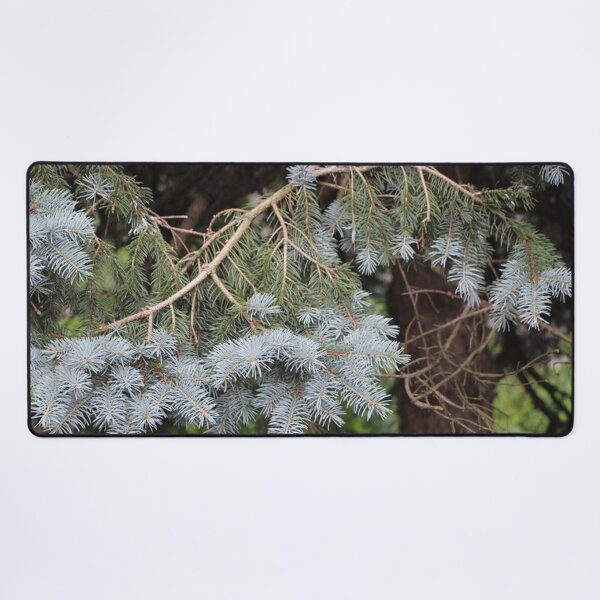Item preview, Curvy Branch of a Colorado Blue Spruce Tree designed and sold by JariHawk.