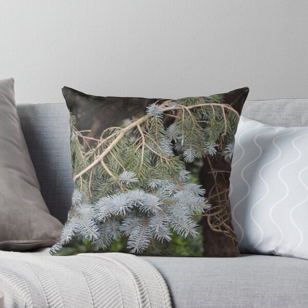 Item preview, Curvy Branch of a Colorado Blue Spruce Tree designed and sold by JariHawk.
