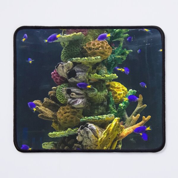 Item preview, Aquarium designed and sold by jamsantos.
