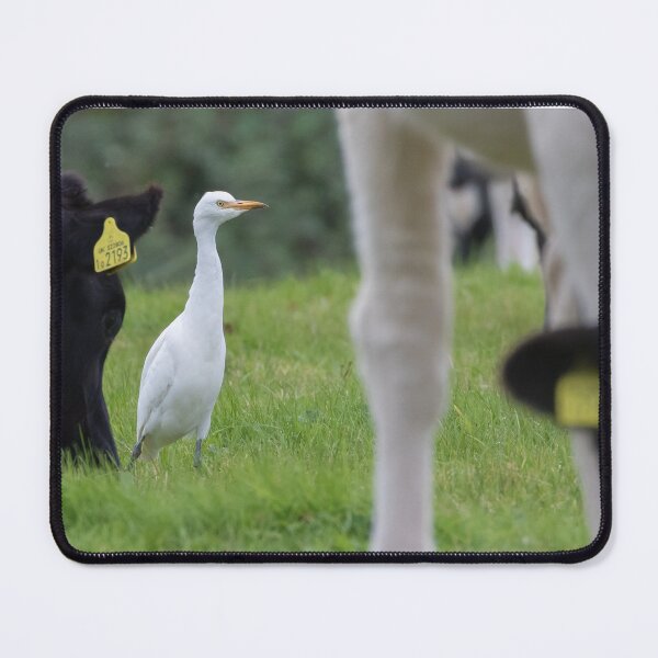 Item preview, Cattle Egret designed and sold by LaurenTucker.