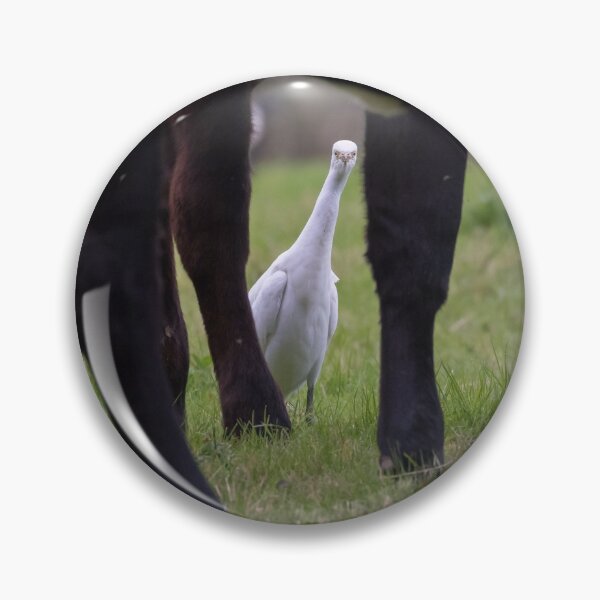 Item preview, Cattle Egret designed and sold by LaurenTucker.