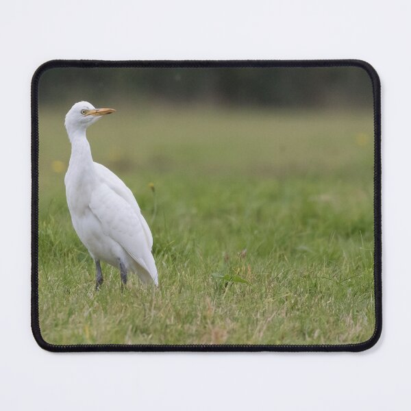 Item preview, Cattle Egret designed and sold by LaurenTucker.