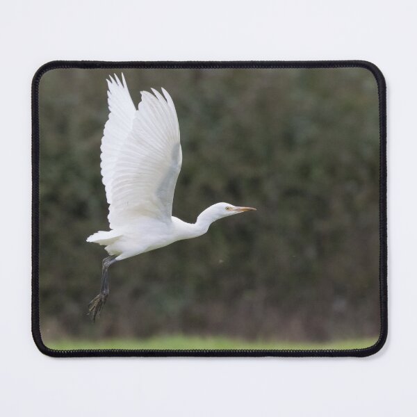 Item preview, Cattle Egret designed and sold by LaurenTucker.