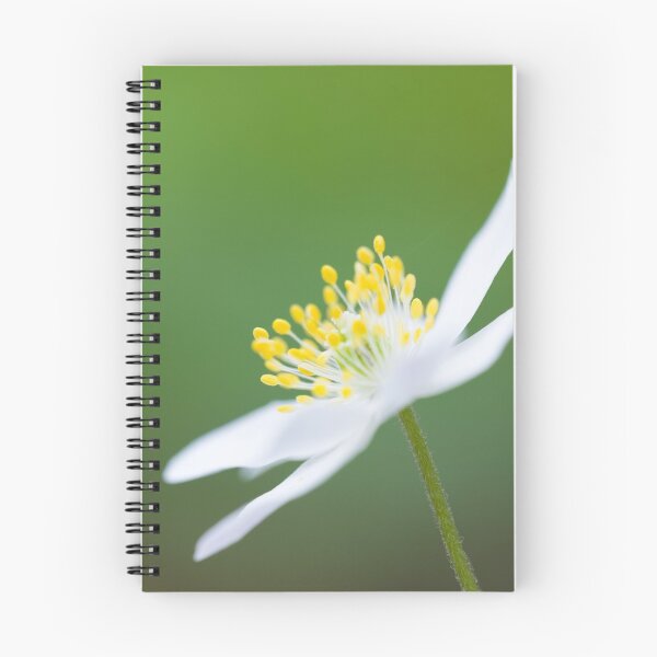 Item preview, Wood Anemone designed and sold by Craig Joiner.