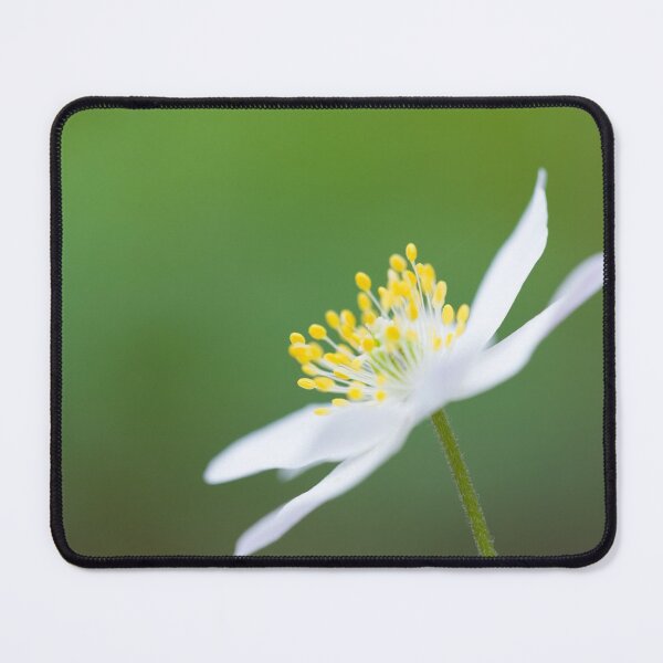 Item preview, Wood Anemone designed and sold by Craig Joiner.