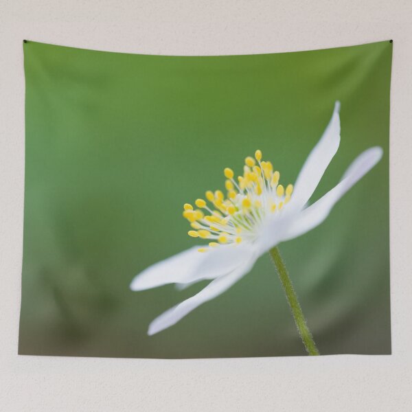 Item preview, Wood Anemone designed and sold by Craig Joiner.