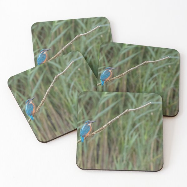 Item preview, Kingfisher designed and sold by LaurenTucker.