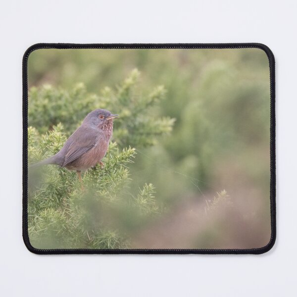 Item preview, Dartford Warbler designed and sold by LaurenTucker.