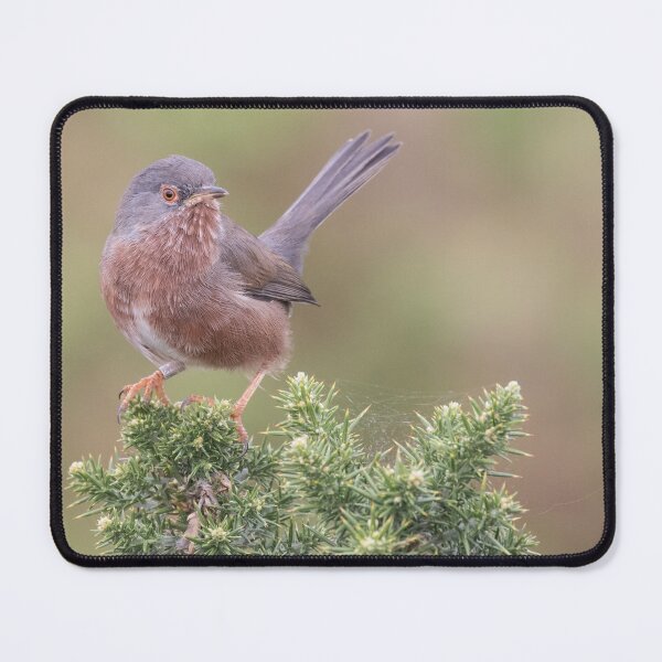 Item preview, Dartford Warbler designed and sold by LaurenTucker.