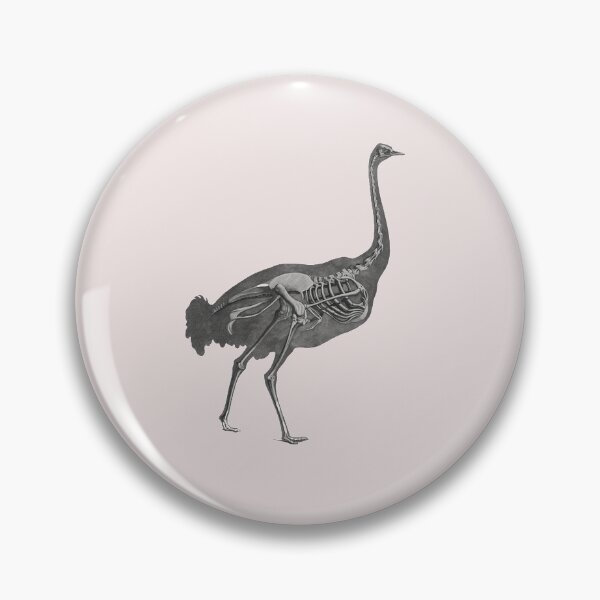 Item preview, ostrich skeleton designed and sold by oldbagofbones.