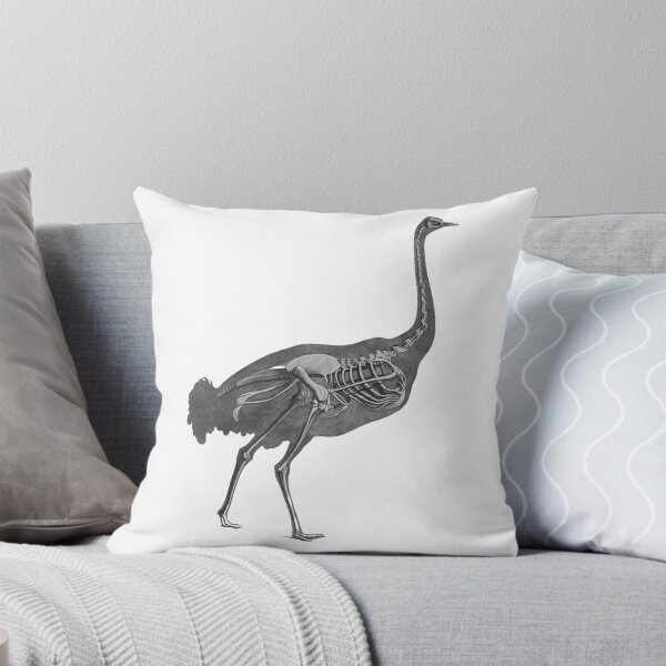 Item preview, ostrich skeleton designed and sold by oldbagofbones.
