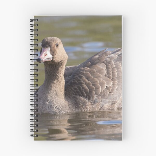 Item preview, White Fronted Goose designed and sold by LaurenTucker.