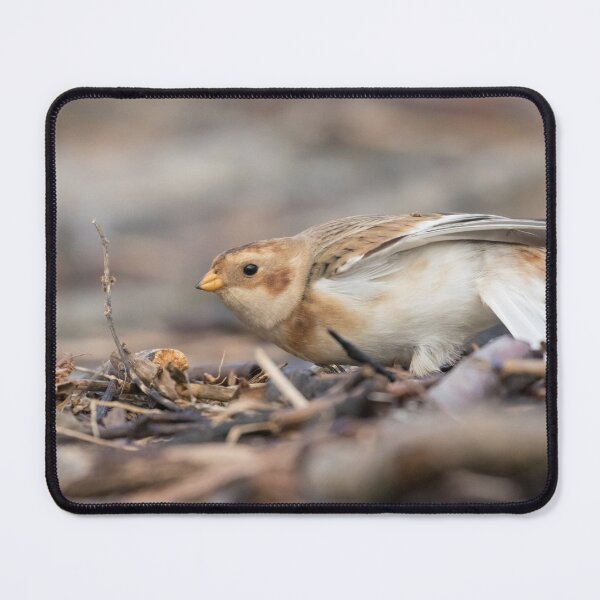 Item preview, Snow Bunting designed and sold by LaurenTucker.