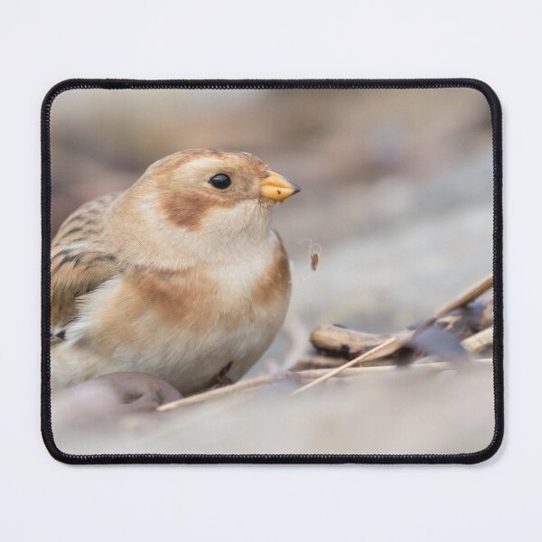 Item preview, Snow Bunting designed and sold by LaurenTucker.