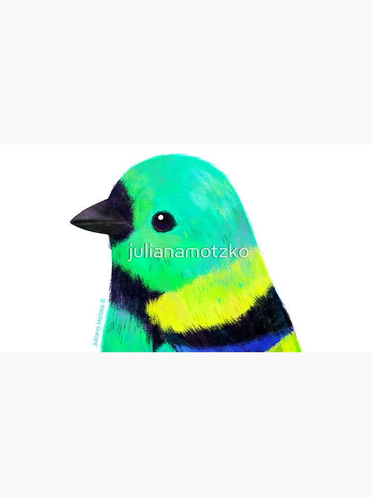 Green Headed Tanager Bird by julianamotzko