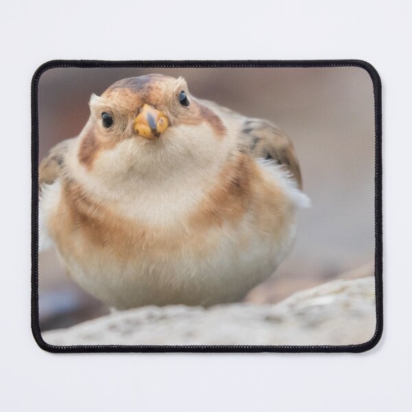Item preview, Snow Bunting designed and sold by LaurenTucker.
