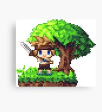 Adventurer Canvas Print