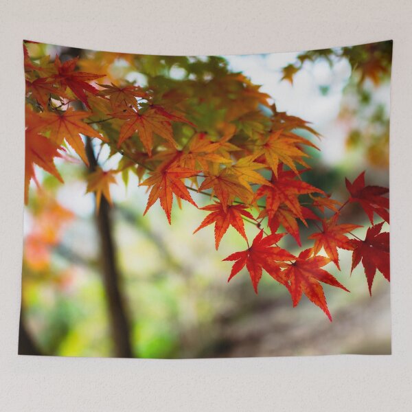 Item preview, Photography - Japanese fall memories  designed and sold by Karolien Kenis.