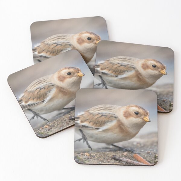 Item preview, Snow Bunting designed and sold by LaurenTucker.