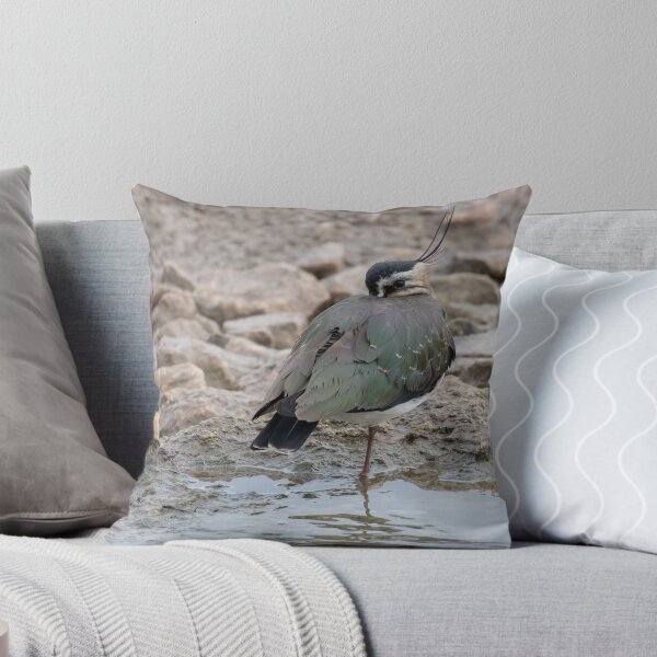Item preview, Lapwing designed and sold by LaurenTucker.