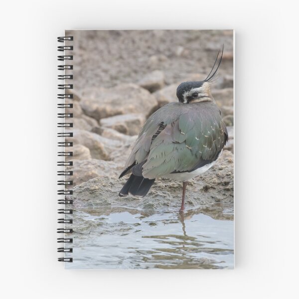Item preview, Lapwing designed and sold by LaurenTucker.