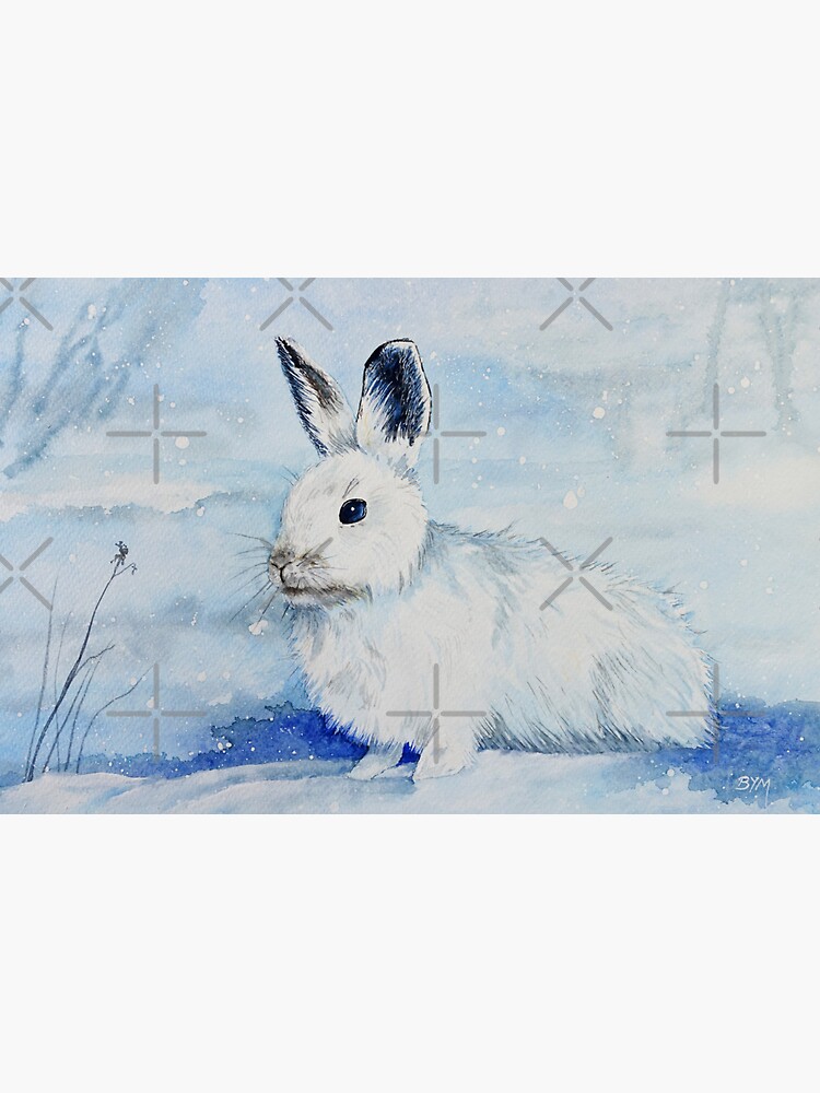 Snowshoe Hare by BethanyMilam