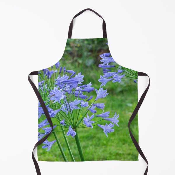 Item preview, Agapanthus flowers in garden designed and sold by Photopat.