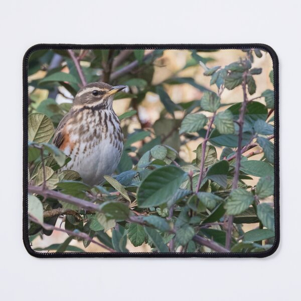 Item preview, Redwing designed and sold by LaurenTucker.