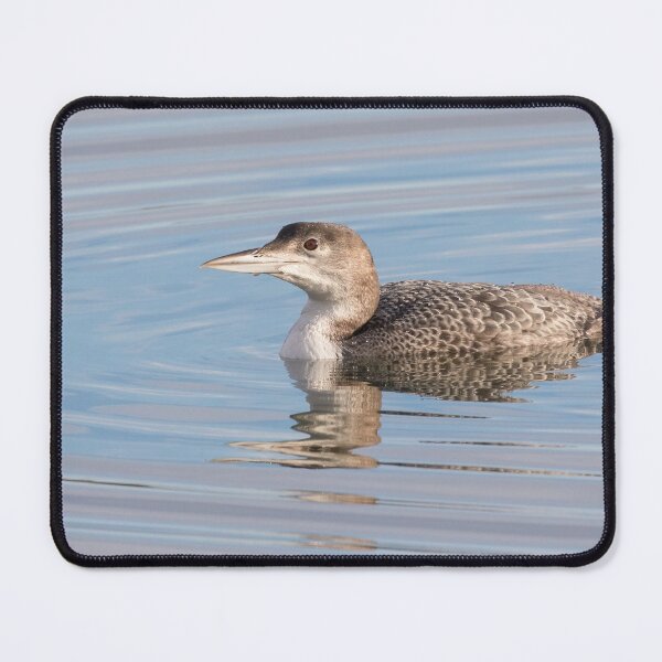 Item preview, Great Northern Diver designed and sold by LaurenTucker.
