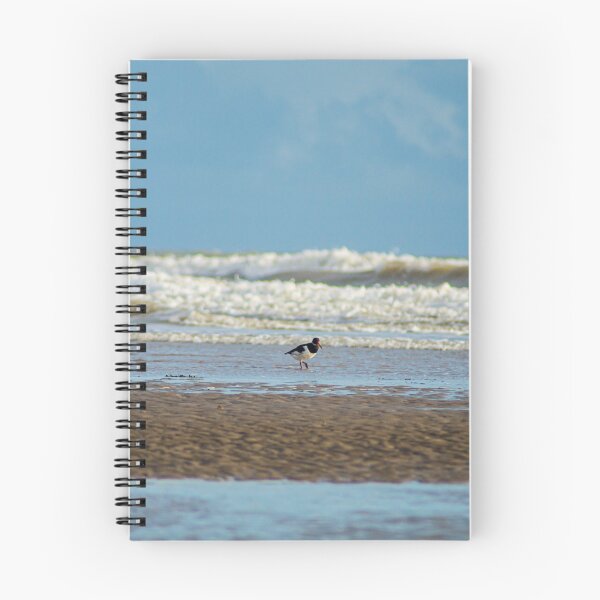 Item preview, Oystercatcher at Winchelsea Beach designed and sold by Compelling2011.